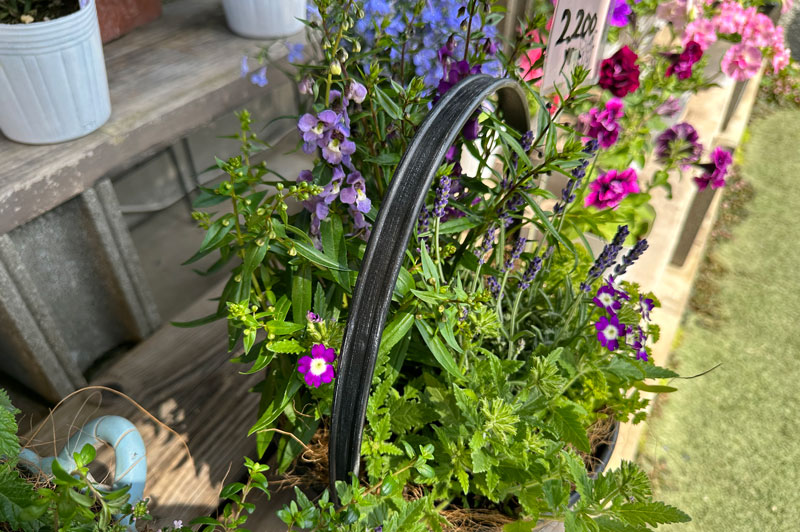 寄せ植え