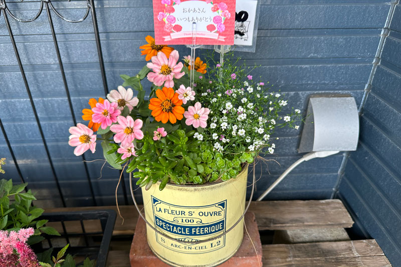 寄せ植え