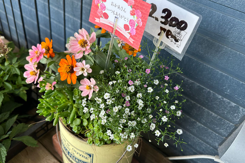 寄せ植え