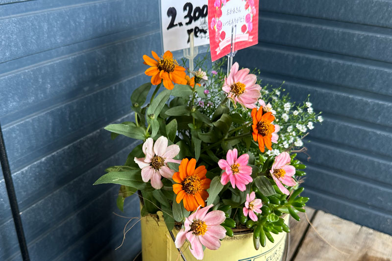 寄せ植え