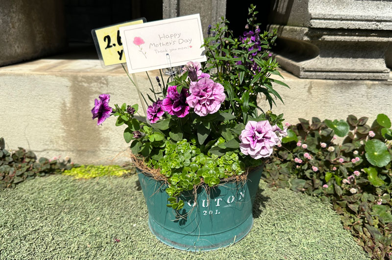 寄せ植え