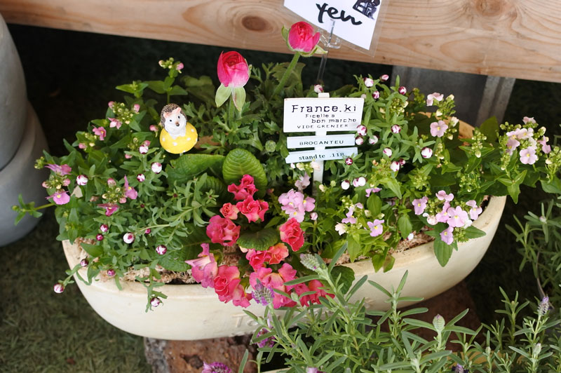 寄せ植え